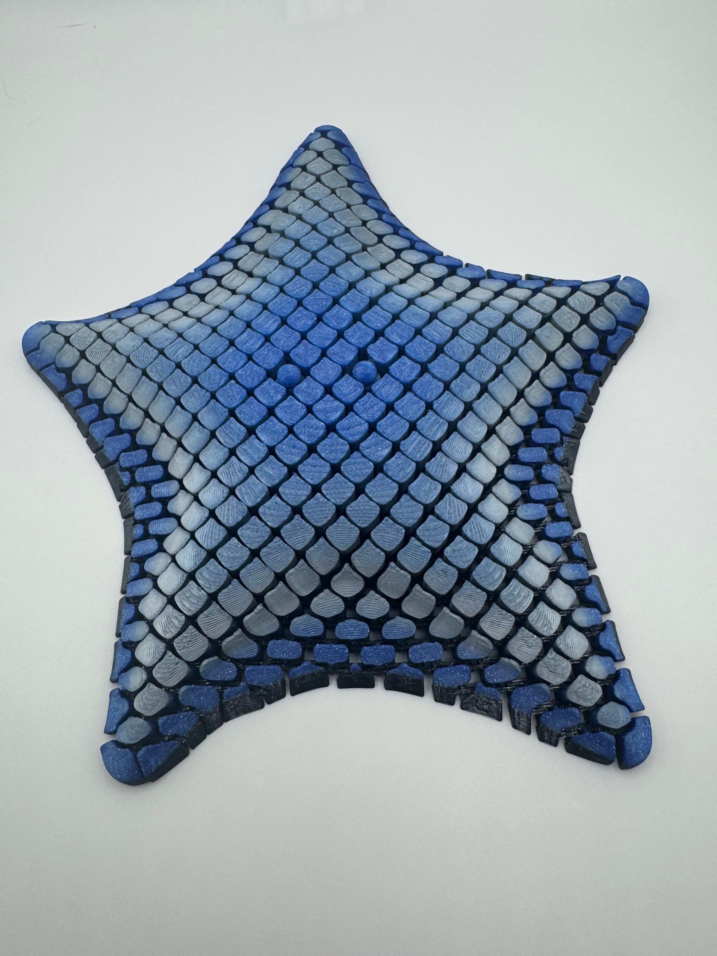 Flexi Starfish
